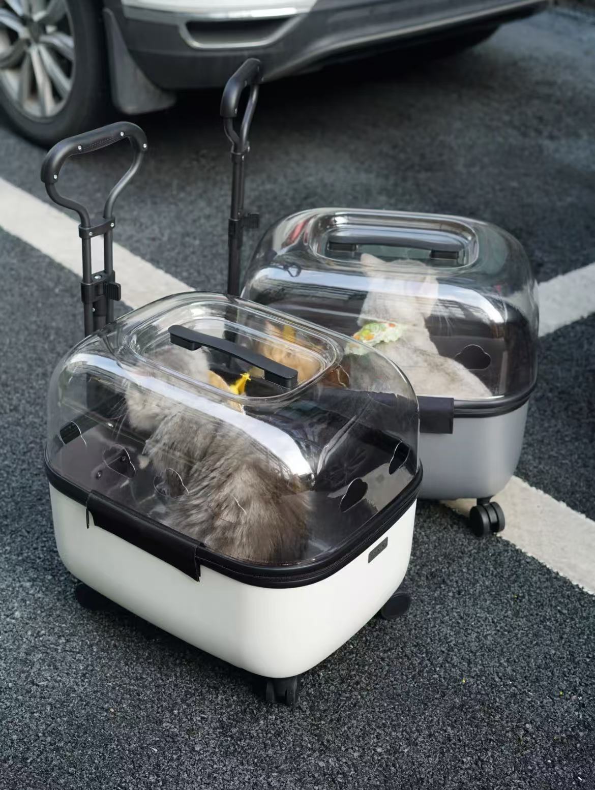 "Minimalist Pet Mobility Pod | 🪐 Curated for Modern Aesthetics🏙️ For City-Savvy Pet Parents